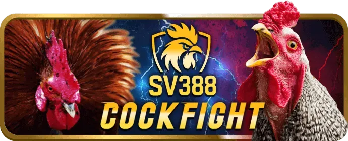 Chương trình hoàn trả cược hàng tuần tại 8swin
